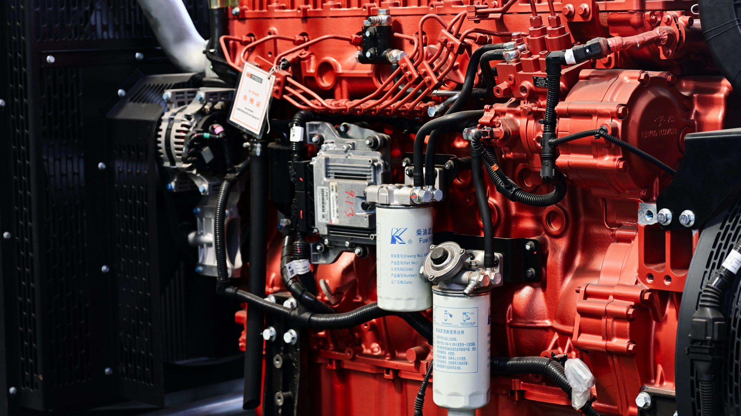 Diesel engine and fuel-system detail